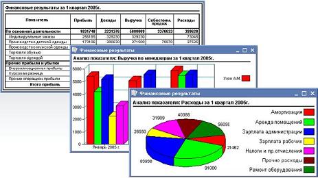 1С:Управляющий - программа для директоров finanaliz.jpg